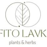 Заповнювач