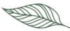 leaf-new-e1673023508328 leaf-new-e1673023508328