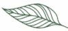 leaf-new-e1673023508328